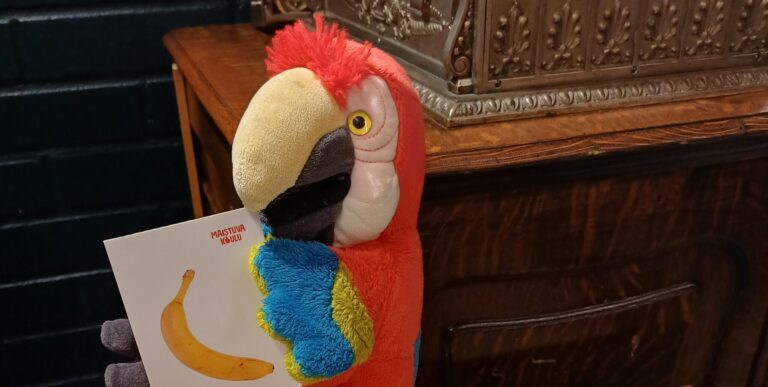 Kuvassa on papukaija, joka pitelee nokassaan banaanikorttia. Papukaijan edessä on lisää kortteja sekä kaksi banaania ja mustikoita.